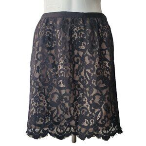 Ann Taylor Loft Womens Sheer Black Lace Pencil Skirt Scalloped Hem Lined Size 2